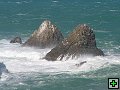 thn_The Catlins Coast 027.jpg